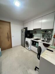 Eight Riversuites (D12), Condominium #556196281